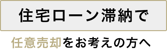 Z[ؔ[ŔCӔpl̕